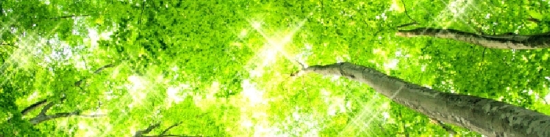 �A�O���̂����킹���N�����T�C�g